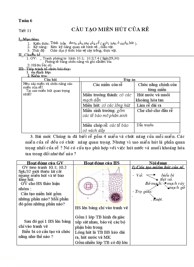 Tuần 6 sinh6