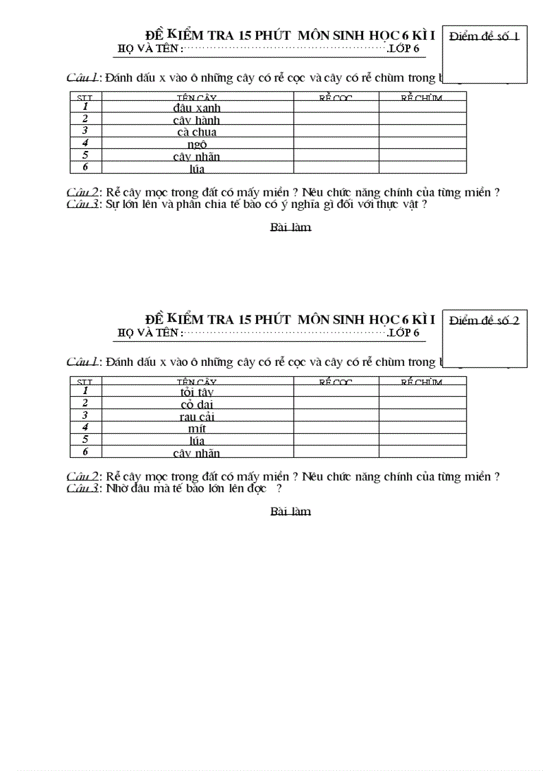 Kt15p sinh6