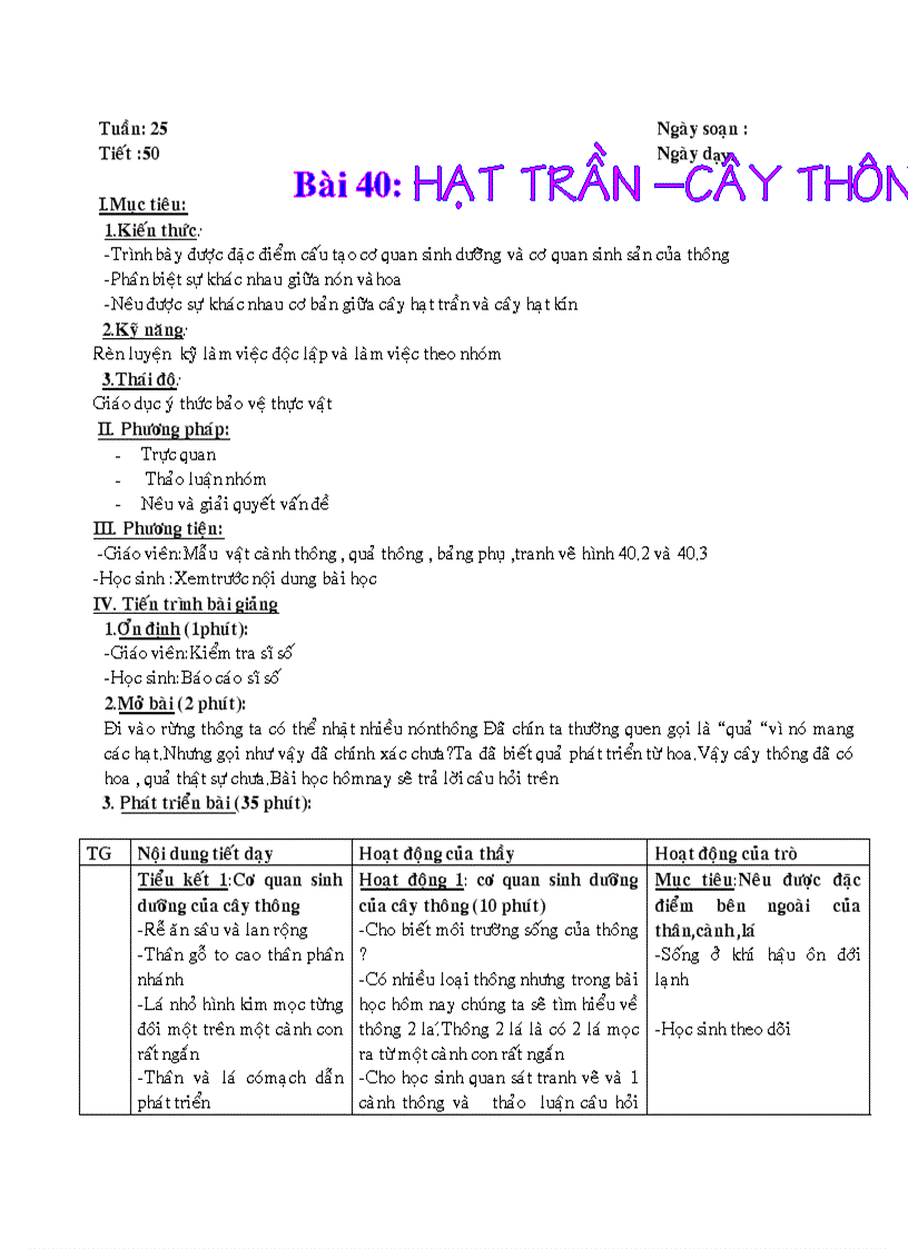 Bài 40 Hạt trần cây thông