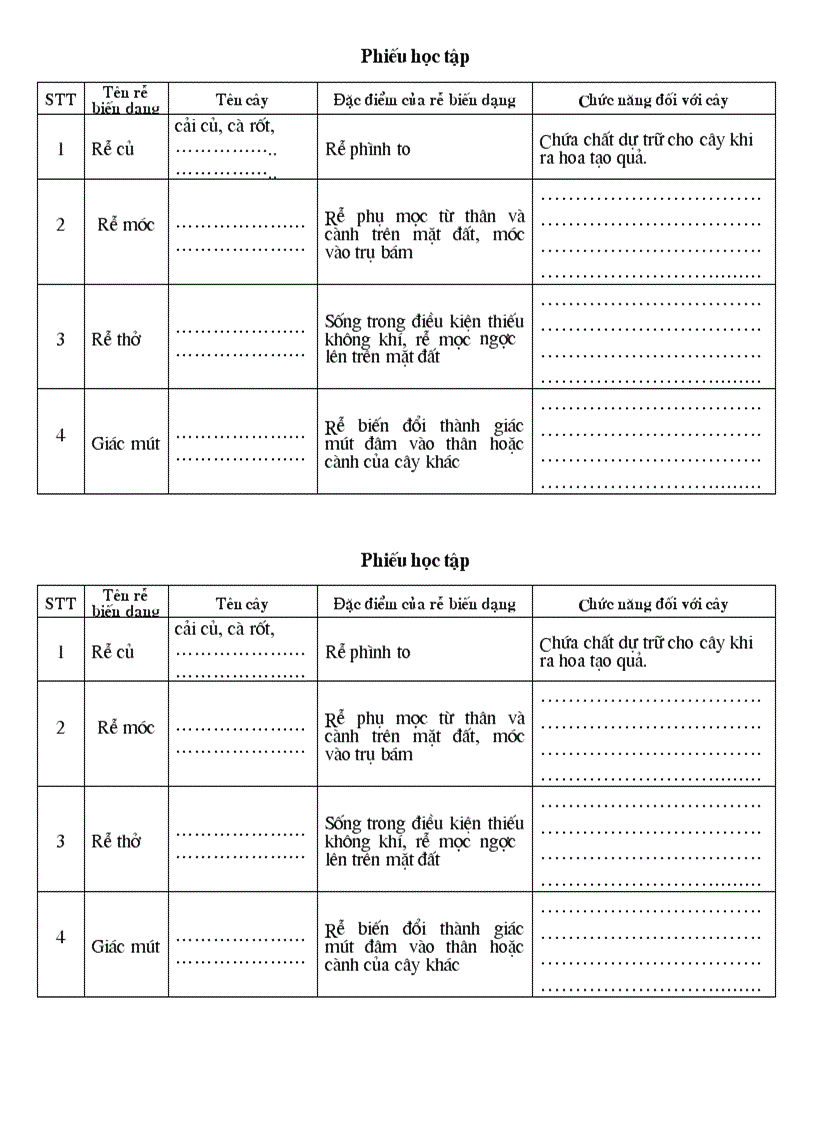 Phiếu học tập sinh 6 1