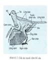 Bộ tranh đầy đủ như sách GK