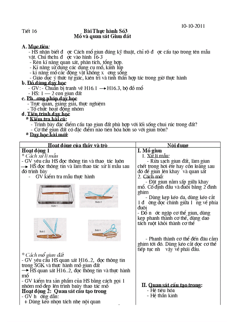 S 7 T16 TH Mổ QS cấu tạo trong giun đất