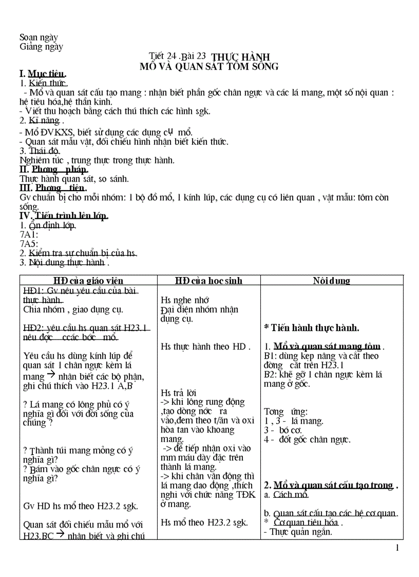 Tiết 24 Bài 23 TH tôm sông