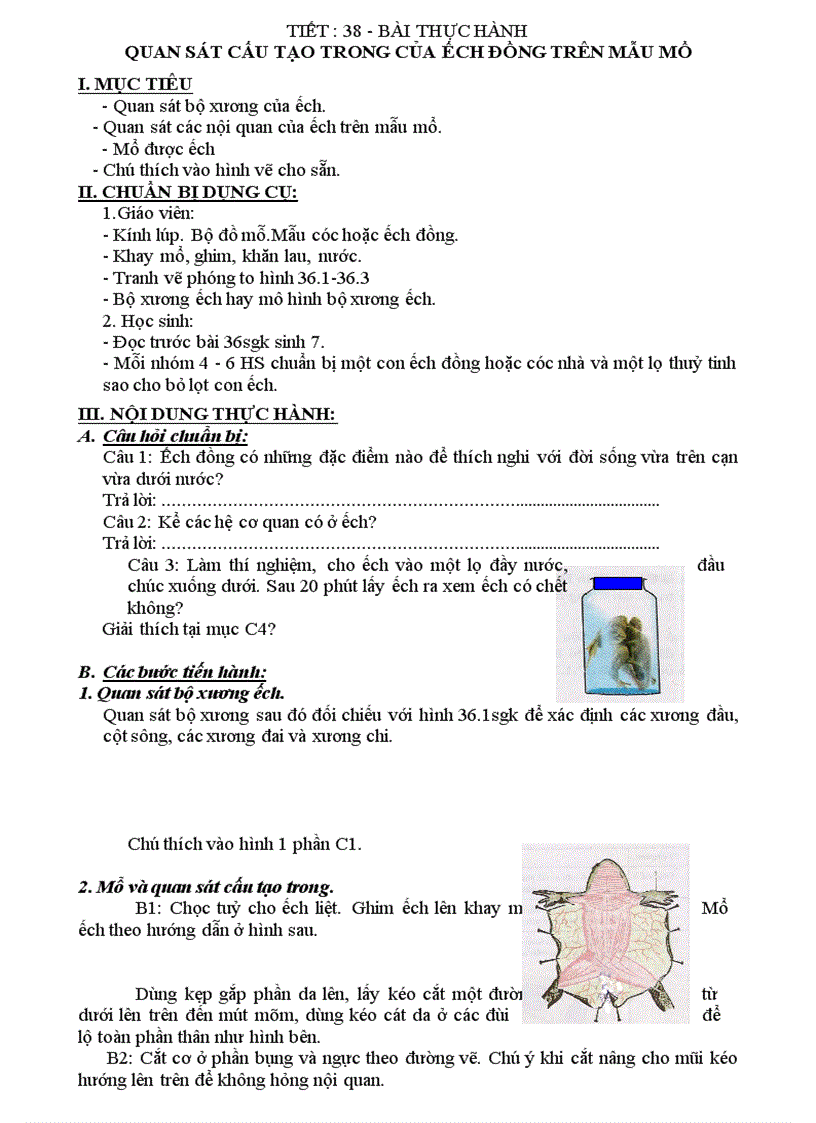 T38 TH QS cau tao trong cua ech dong