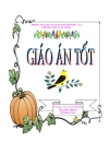 16 bìa giáo áo đẹp