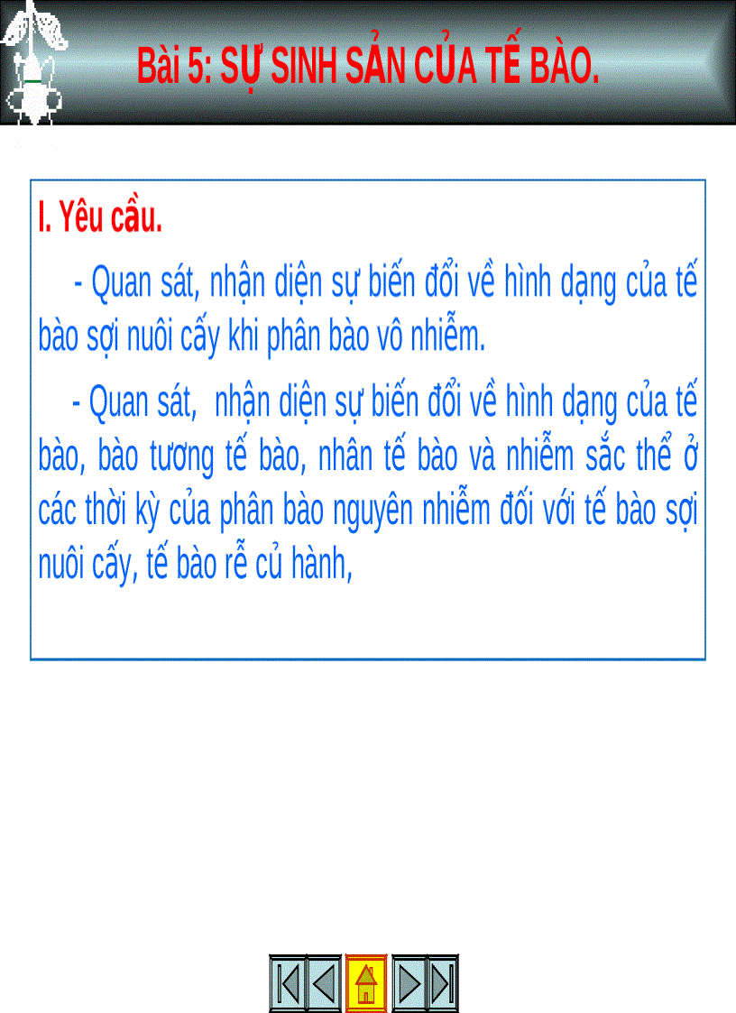 Sinh sản của tế bào