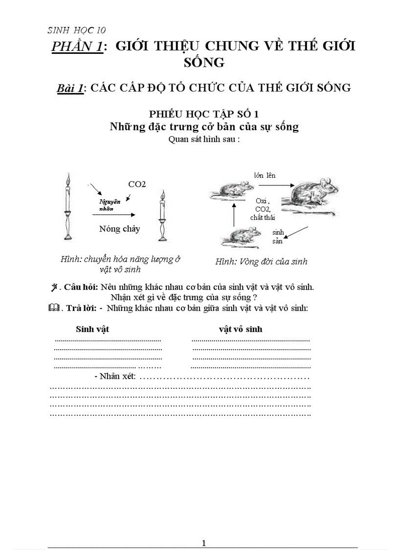 Phiếu học tập cực hay