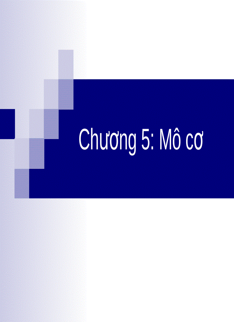 Mô cơ