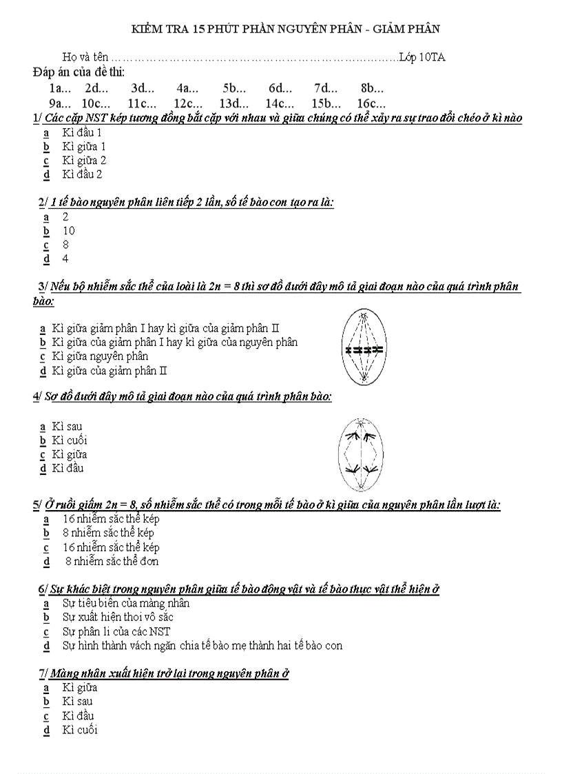 Nguyên phân giảm phân đề 2 đáp án