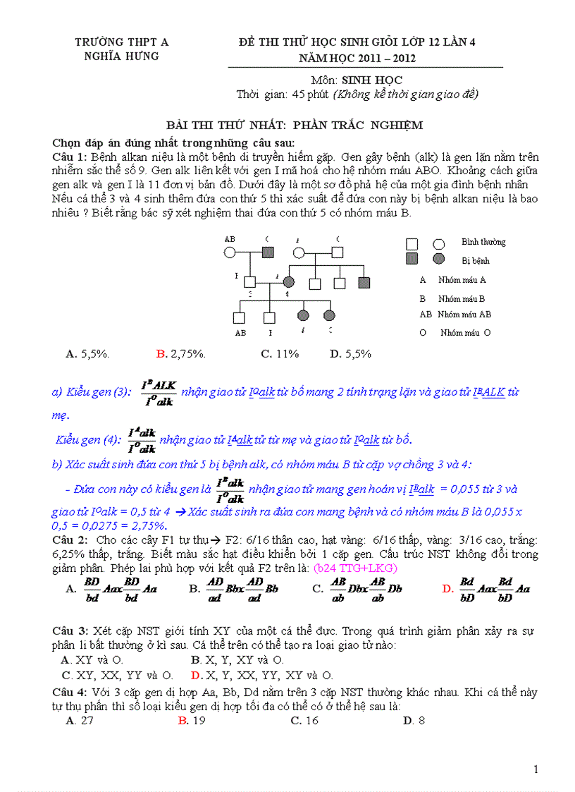 HSG lần 4 Sinh 12 Nghĩa Hưng A