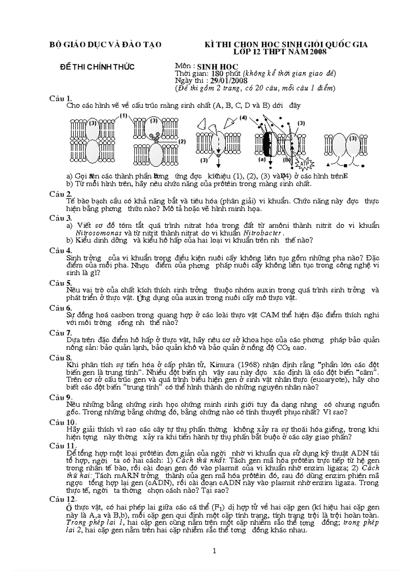 Đề HSG 12