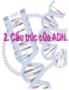 Axitnucleic