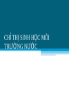 Chỉ thị sinh học