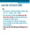 Chỉ thị sinh học