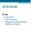 Chỉ thị sinh học