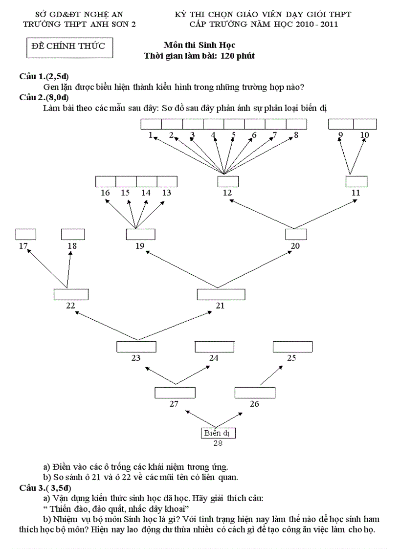 Đề thi gvg trường