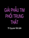 Giải phẩu tim