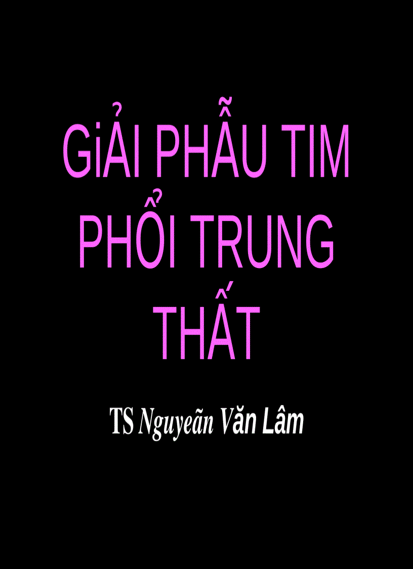 Giải phẩu tim