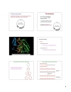 DNA synthesis