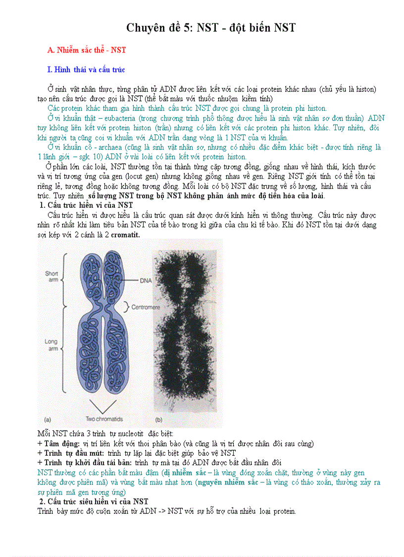 NST và đột biến NST