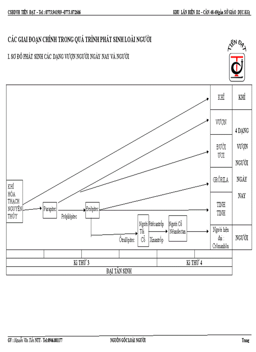 Hệ thống hóa kiến thức sinh 12 tnthpt phát sinh người 2