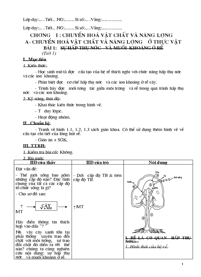 Giáo án sinh học 11 CB