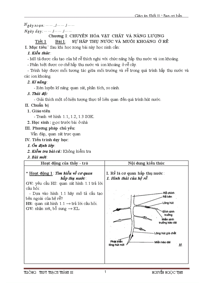 Giáo an sinh Học 11 1