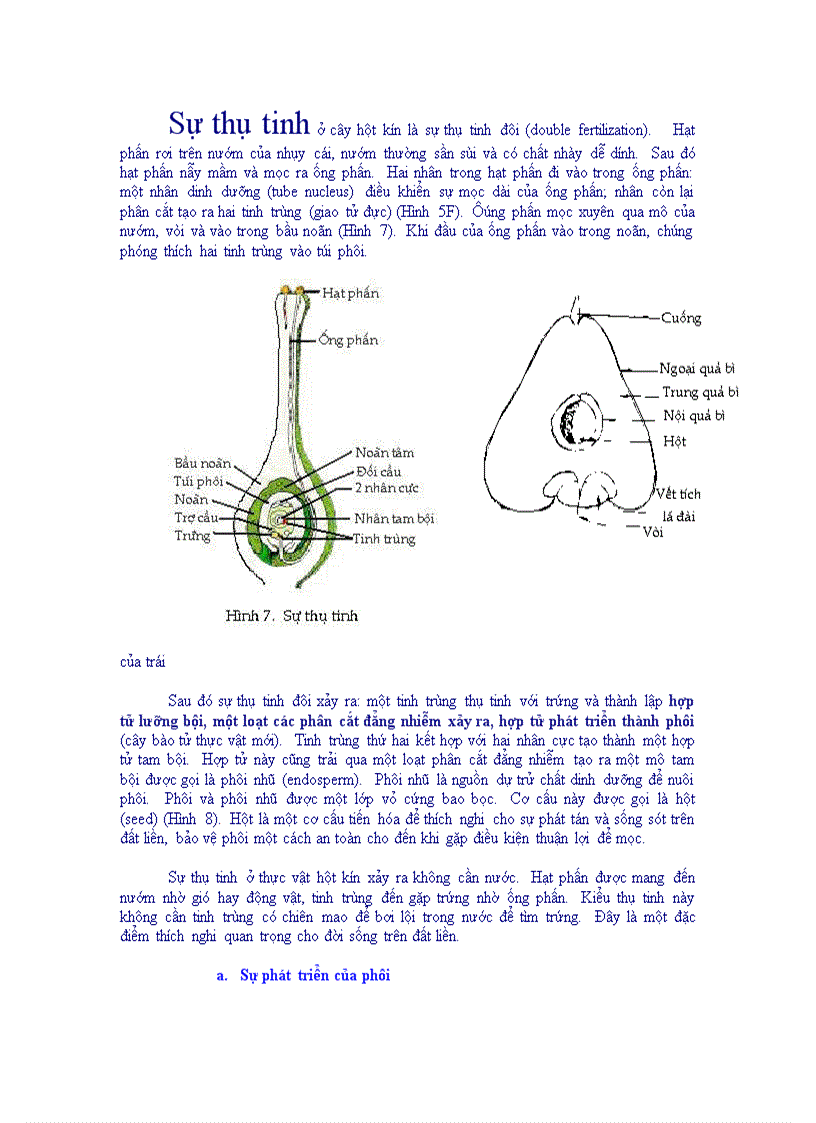 Thuc vat