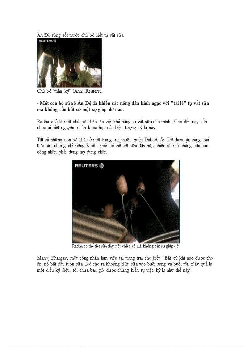 An do sung sot truoc con bo biet tu vat sua