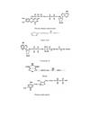 CHƯƠNG VI Enzyme