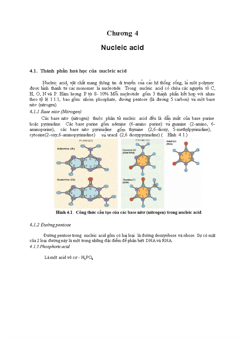 CHƯƠNG IV Nucleic acid