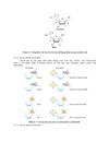 CHƯƠNG IV Nucleic acid