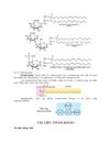 CHƯƠNG II Lipid