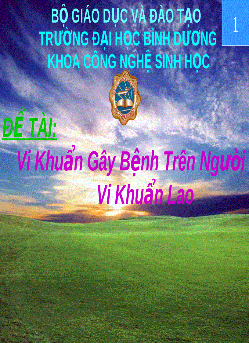 VI khuẩn lao