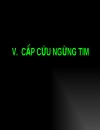 Quy trình sơ cấp cứu