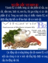 Vitamin B2