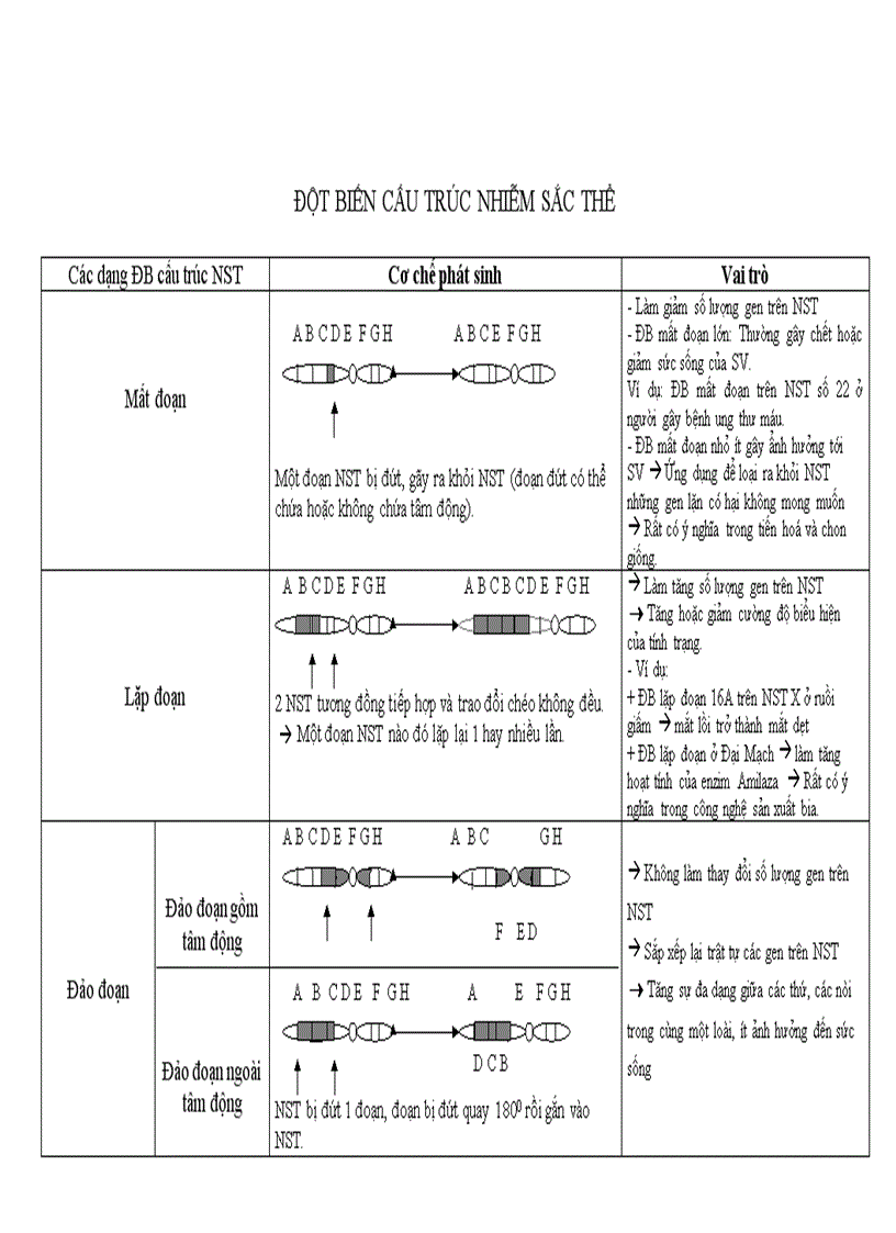 Sinh 12 ĐB cấu trúc NST