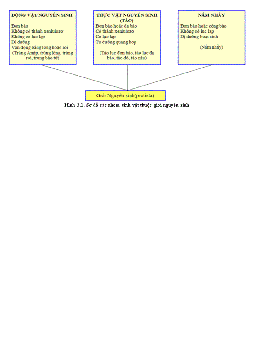 So do cac nhom vi sinh vat thuoc gioi nguyen sinh