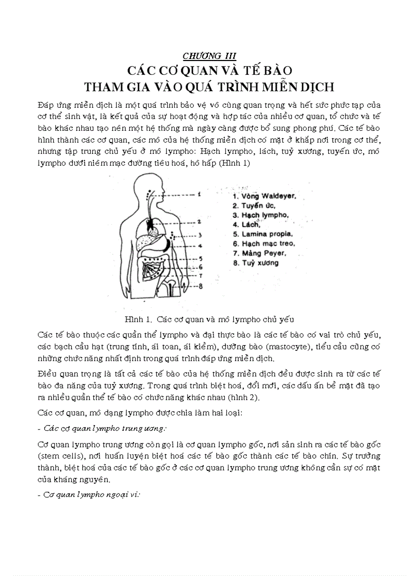 Giáo trình Miễn dịch học chương 3