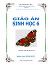 8 mẫu bìa giáo án Sinh học mới