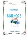 8 mẫu bìa giáo án Sinh học mới