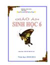 8 mẫu bìa giáo án Sinh học mới