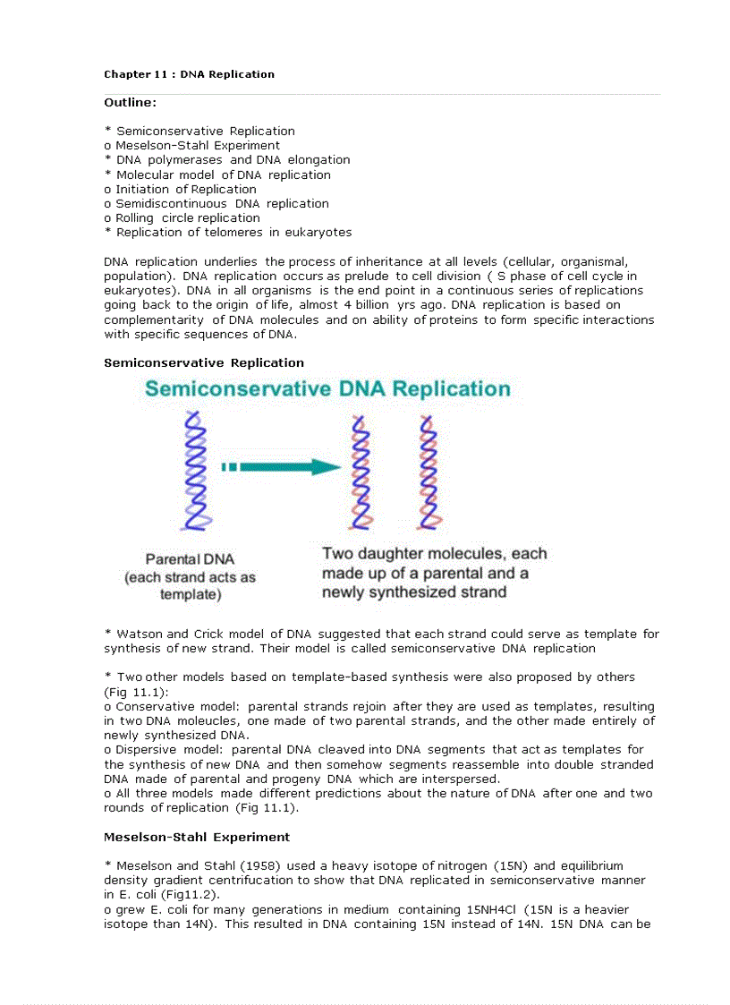 ADN Replication