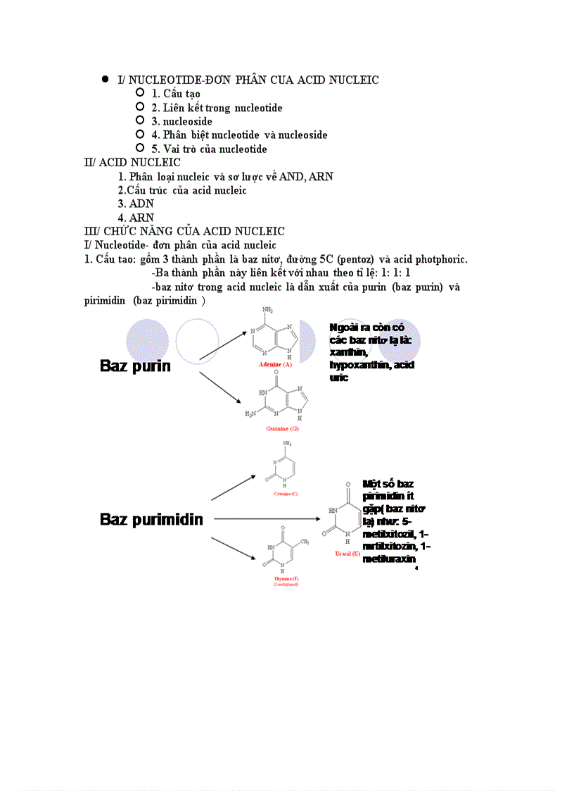 Ãit nucleic