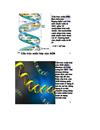 Ãit nucleic