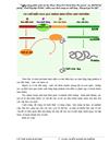 SKKN Sinh tổng hợp Protein