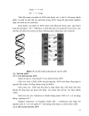 Cơ sở và phương pháp sinh học phân tử