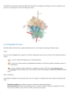 Lubert Stryer Biochemistry