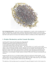 Lubert Stryer Biochemistry