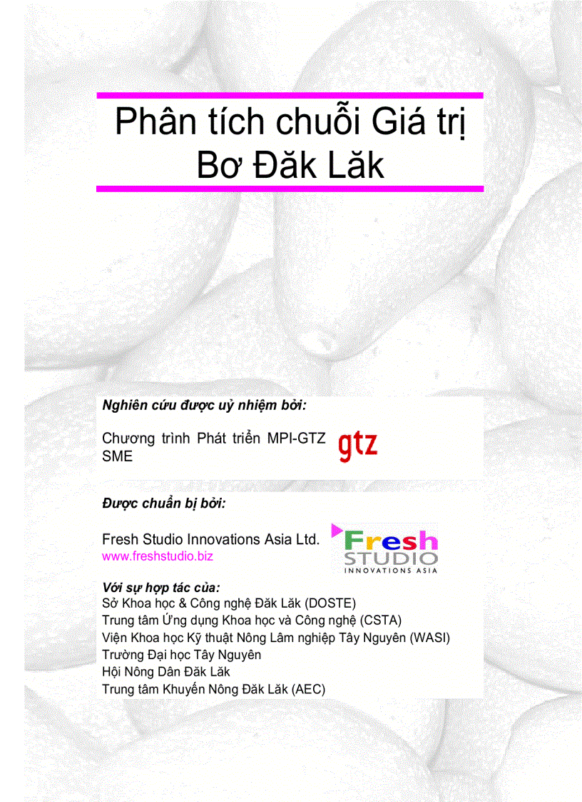 Phân tích chuỗi giá trị bơ Đắc Lăk